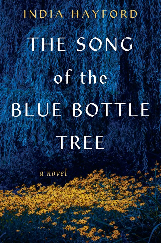 The Song of the Blue Bottle_COVER.jpg